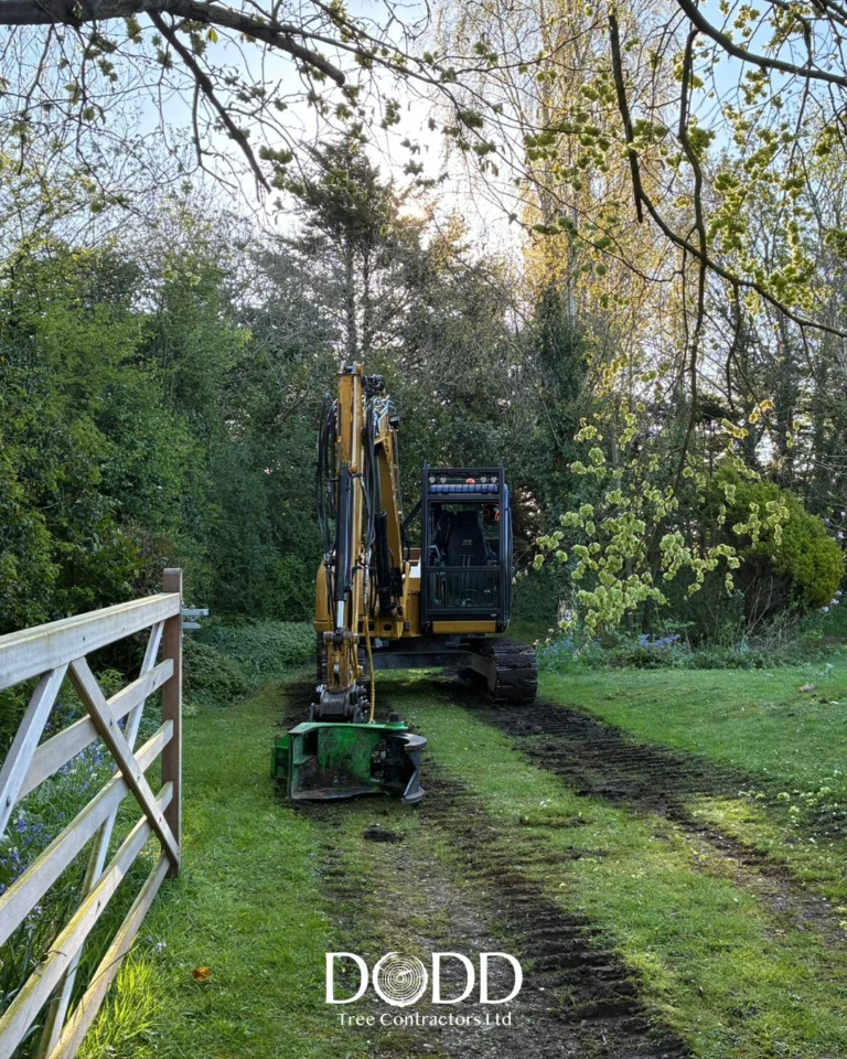 Instagram post from doddtreecontractors. This post is in position 0.