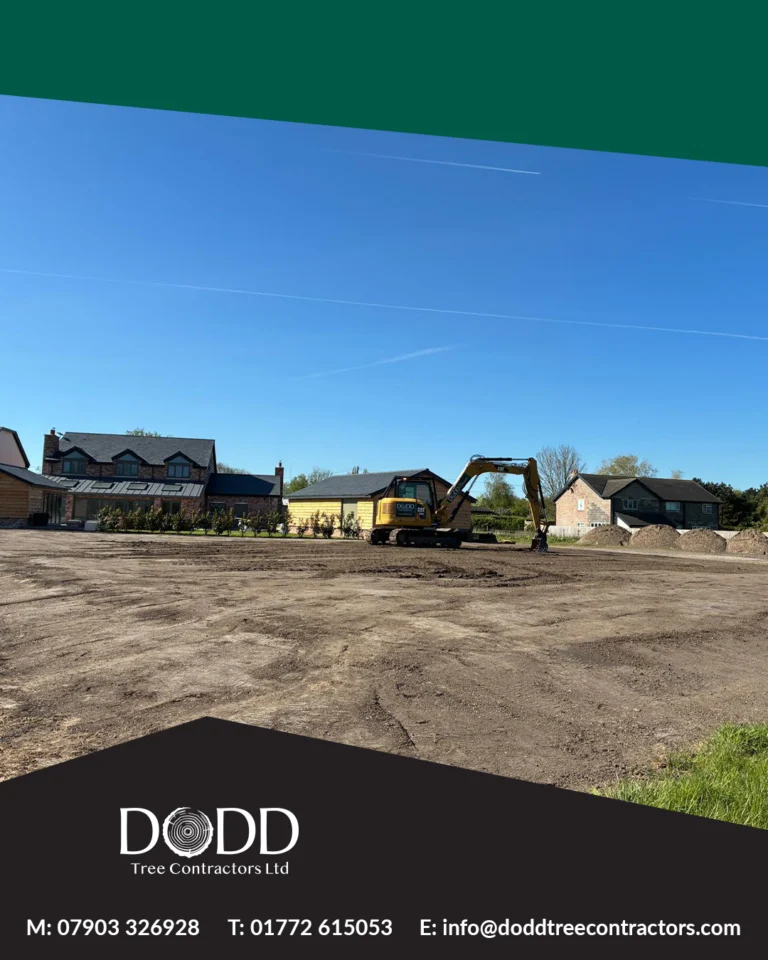 Instagram post from doddtreecontractors. This post is in position 1.