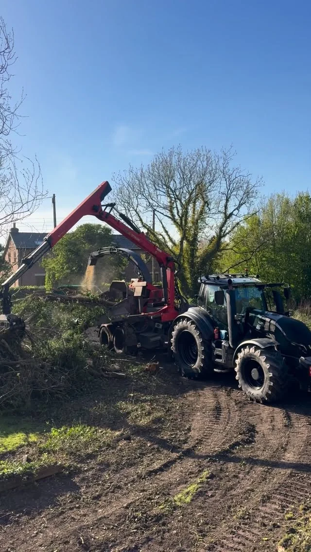 Instagram post from doddtreecontractors. This post is in position 0.