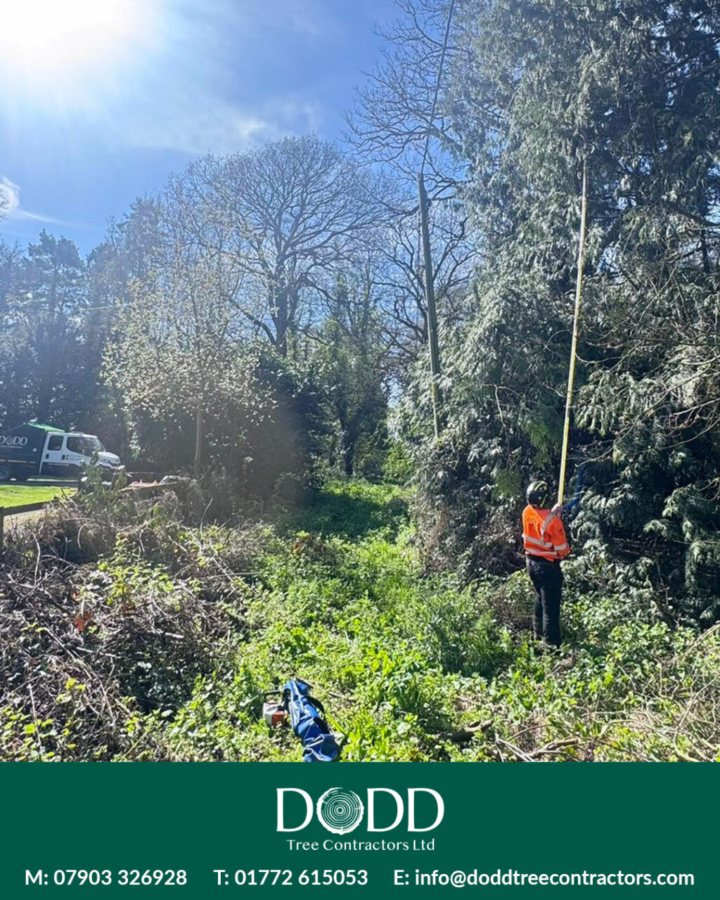 Instagram post from doddtreecontractors. This post is in position 0.