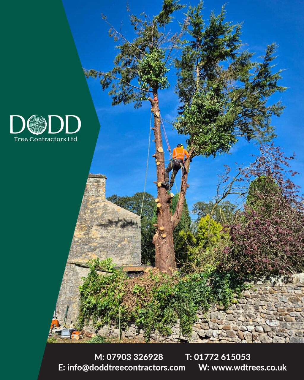 Instagram post from doddtreecontractors. This post is in position 1.