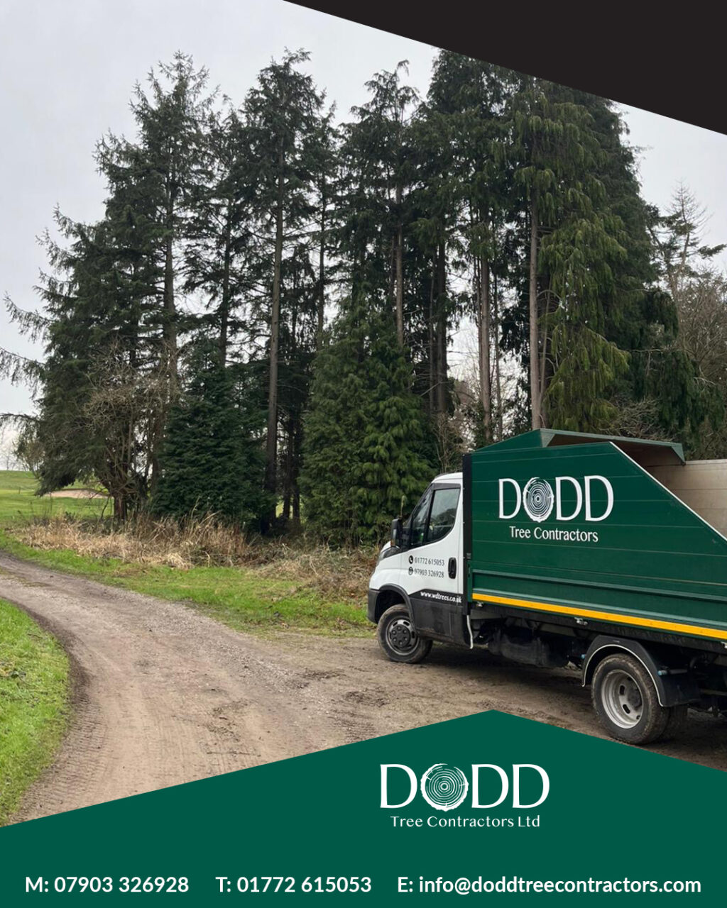 Instagram post from doddtreecontractors. This post is in position 0.
