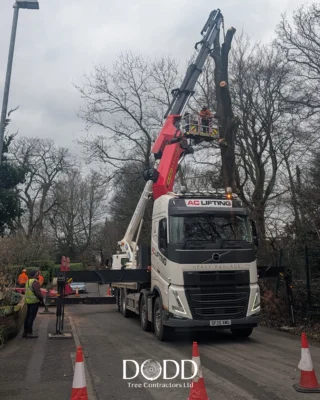 Instagram post from doddtreecontractors. This post is in position 9.
