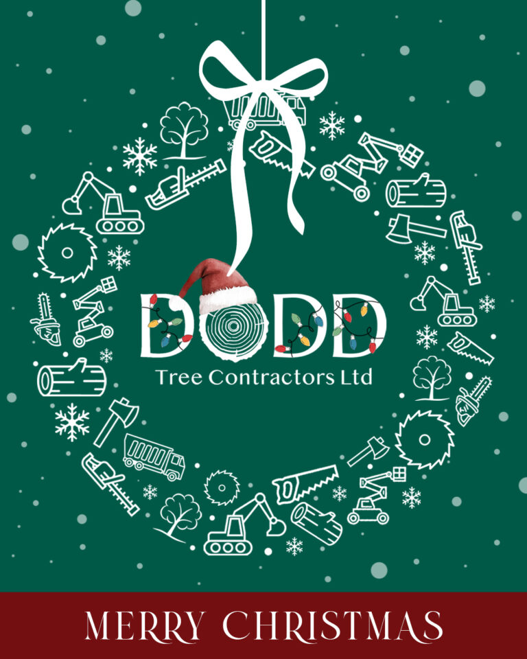 Instagram post from doddtreecontractors. This post is in position 3.