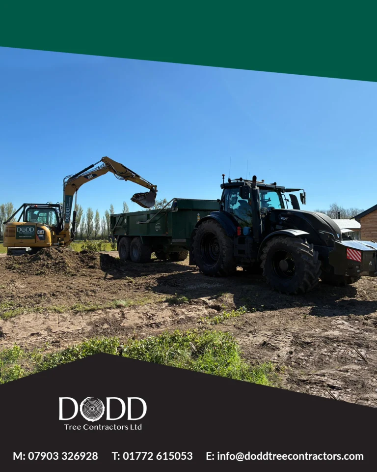 Instagram post from doddtreecontractors. This post is in position 1.
