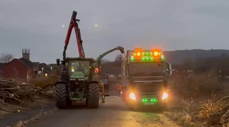 Instagram post from doddtreecontractors. This post is in position 1.