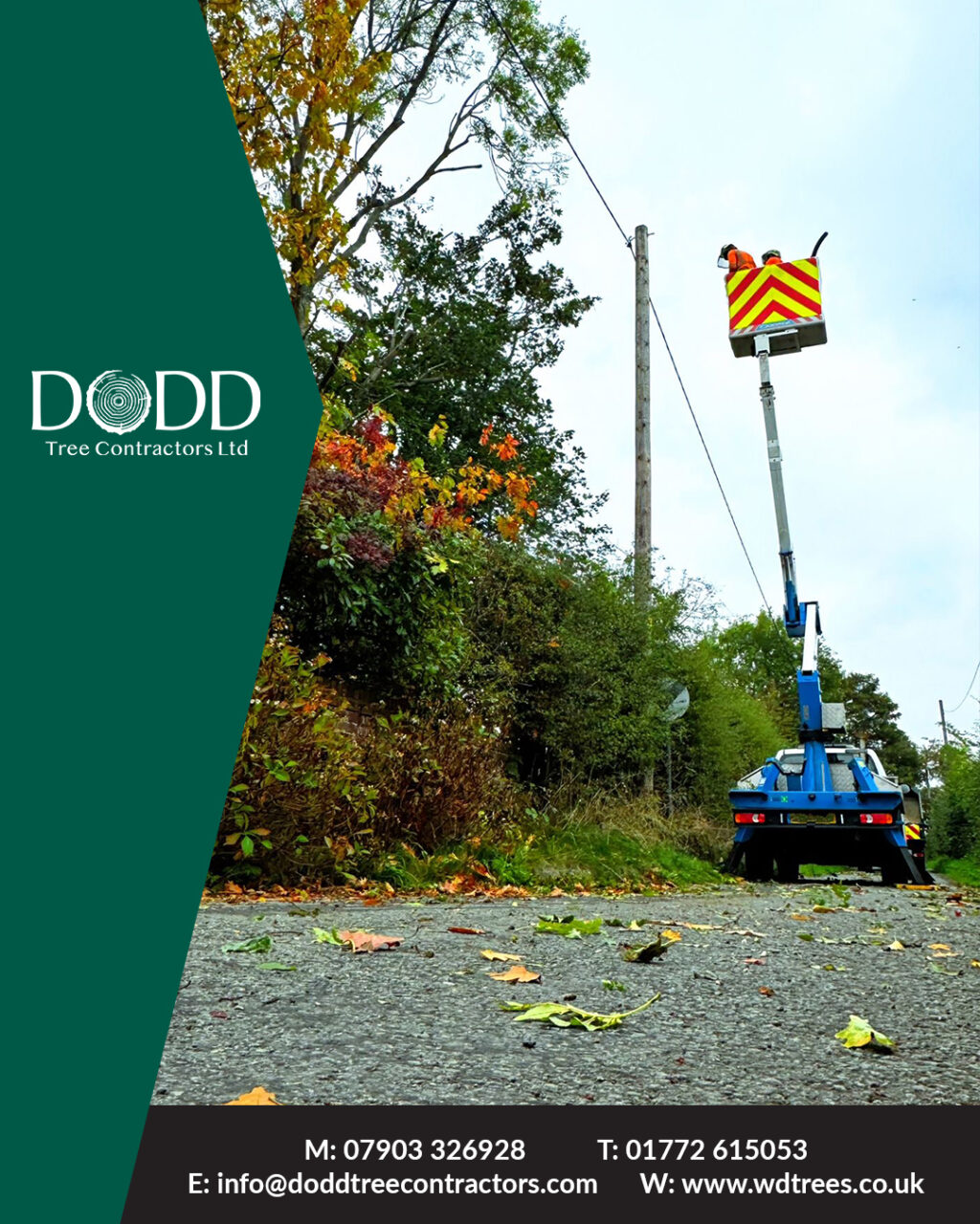 Instagram post from doddtreecontractors. This post is in position 0.