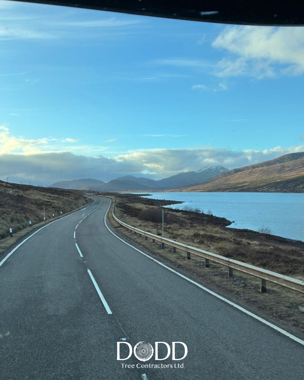 Instagram post from doddtreecontractors. This post is in position 2.