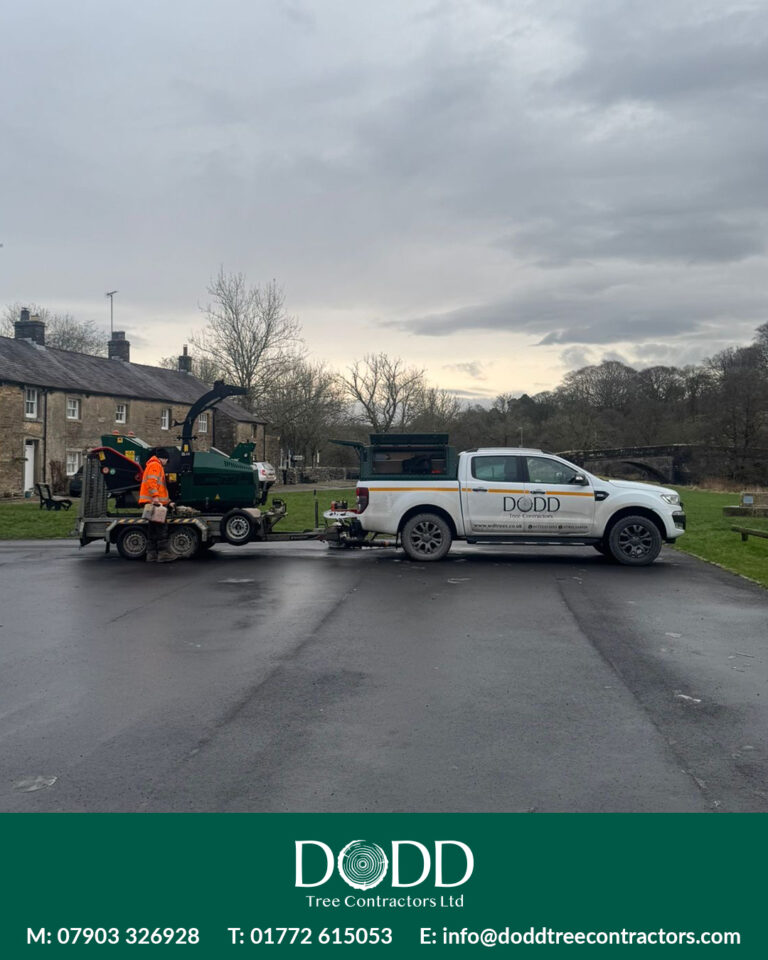 Instagram post from doddtreecontractors. This post is in position 1.