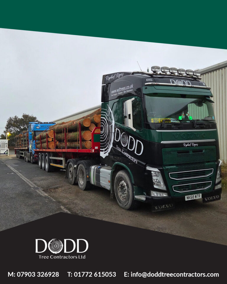 Instagram post from doddtreecontractors. This post is in position 3.