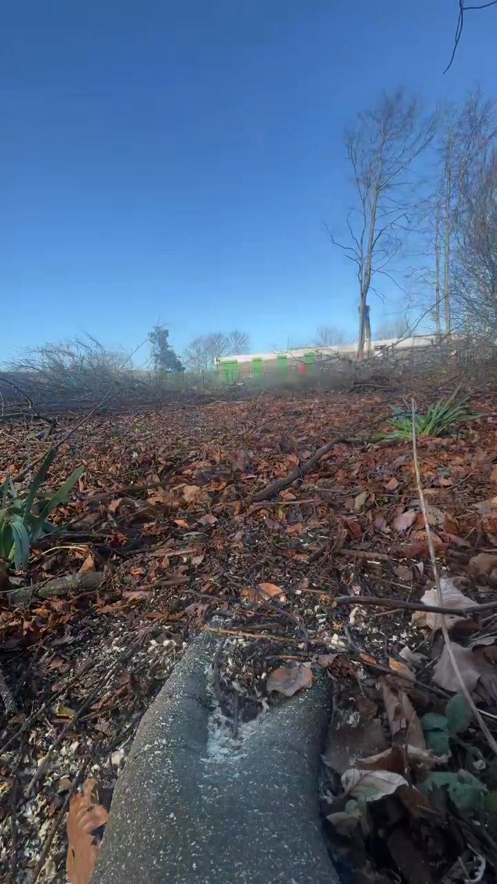 Instagram post from doddtreecontractors. This post is in position 16.