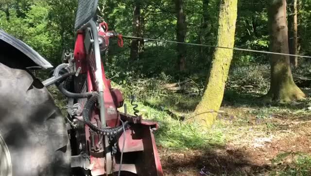 Instagram post from doddtreecontractors. This post is in position 5.