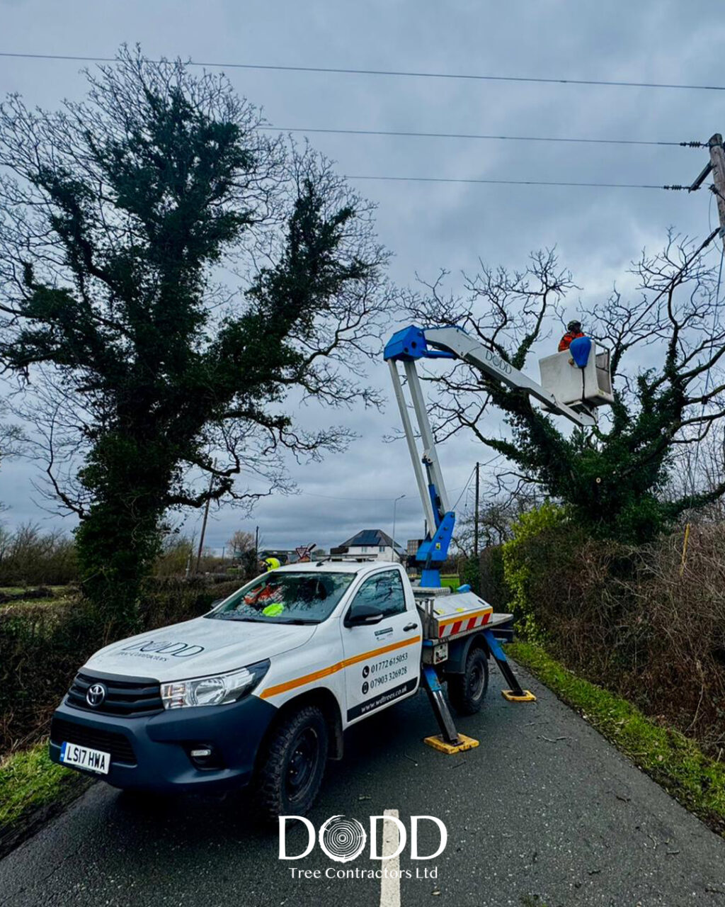 Instagram post from doddtreecontractors. This post is in position 2.