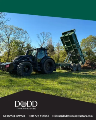 Instagram post from doddtreecontractors. This post is in position 1.