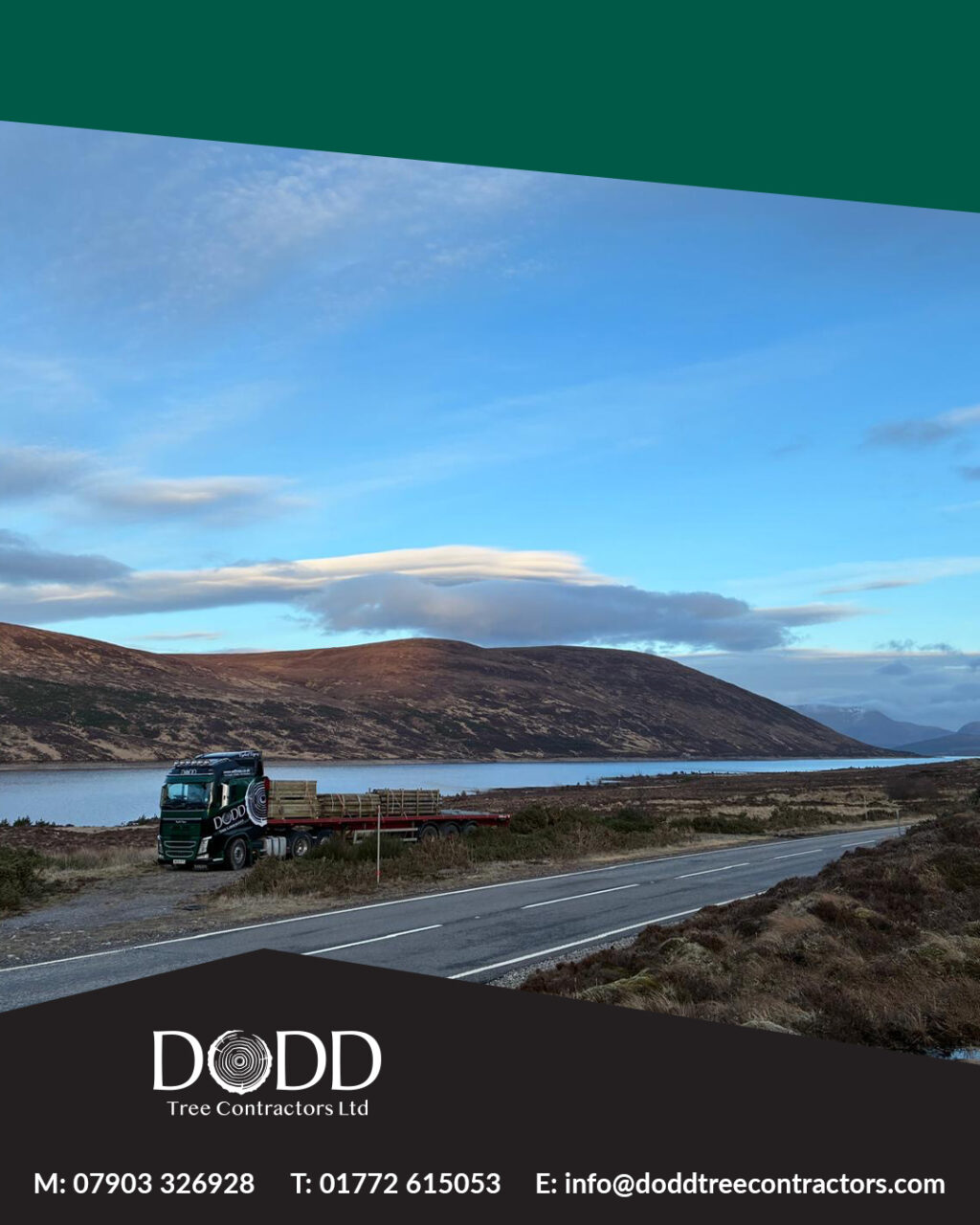 Instagram post from doddtreecontractors. This post is in position 1.