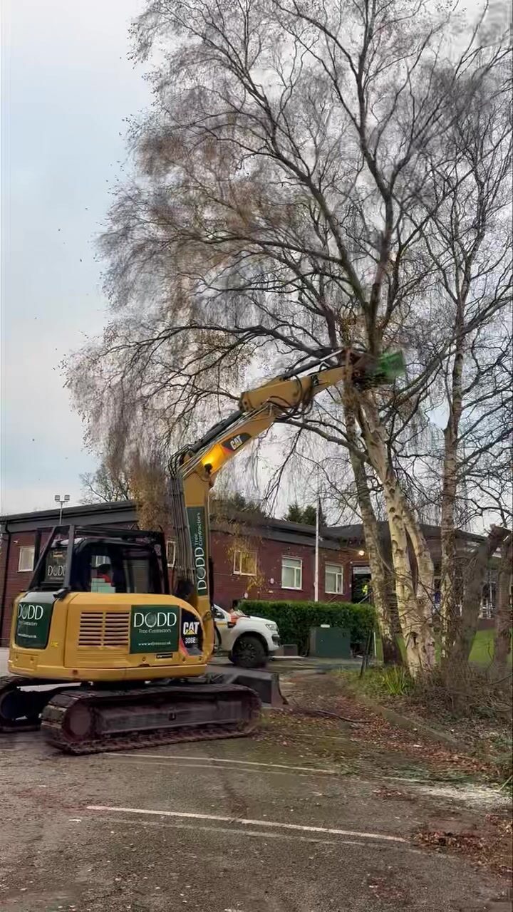 Instagram post from doddtreecontractors. This post is in position 14.