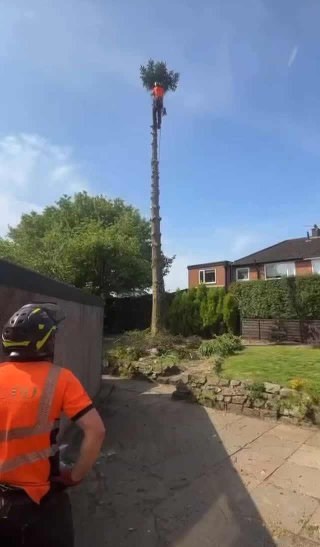 Instagram post from doddtreecontractors. This post is in position 7.