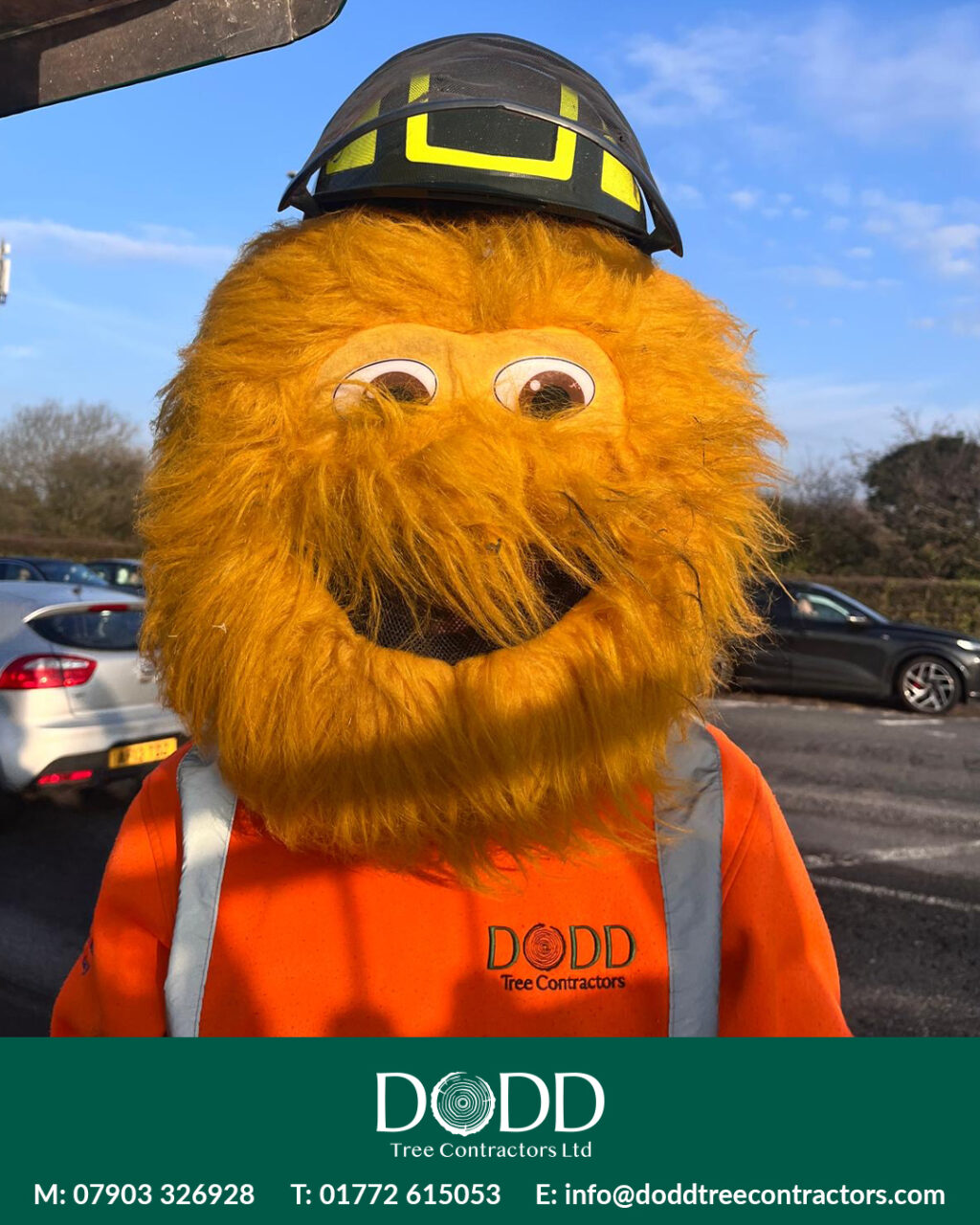 Instagram post from doddtreecontractors. This post is in position 0.