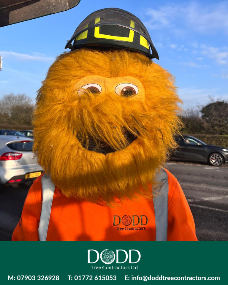 Instagram post from doddtreecontractors. This post is in position 1.