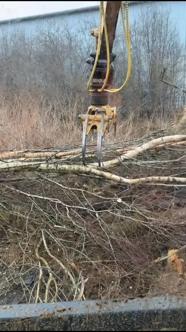 Instagram post from doddtreecontractors. This post is in position 19.